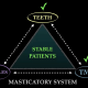 Image of triangle explaining function and aesthetics in dentistry